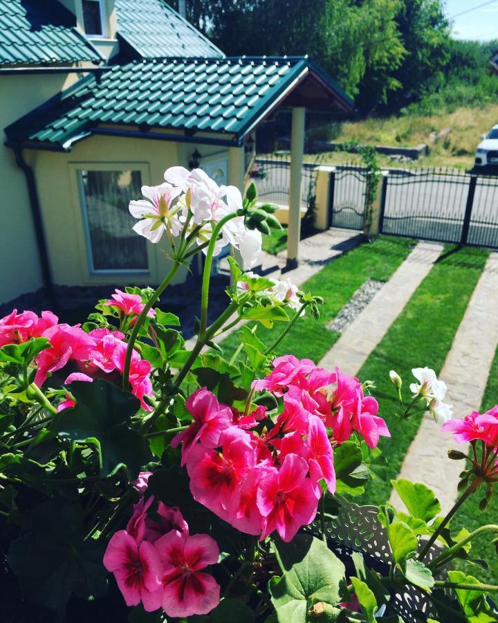 Casa Moldovan Ocna Şugatag Exterior foto