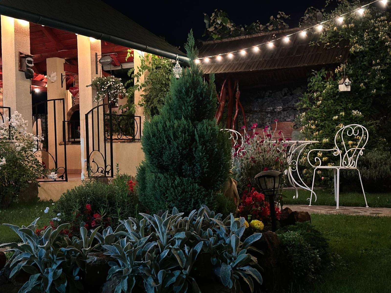 Casa Moldovan Ocna Şugatag Exterior foto